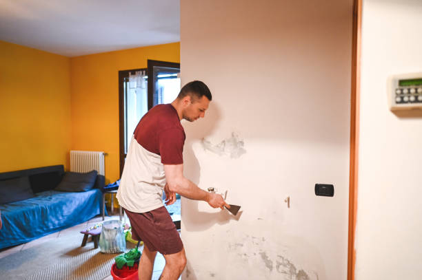 Best Commercial Mold Removal  in Pleak, TX